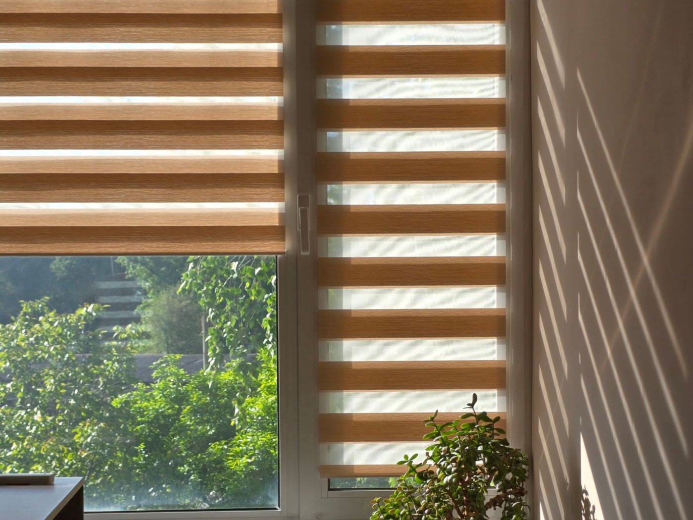 Cortinas y Persianas